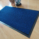 Anti-slip Mat Polypropylene Carpet Disinfection