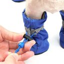 Pet Dog Shoes And Socks Four Seasons Breathable