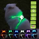 Led Pet Dog Luminous Collar Usb Rechargeable Silicone