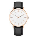 Watch Belt Frosted Ladies Fashion Quartz