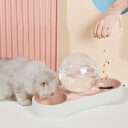 Plastic Pet Feeding Drinkers Cat Dog Automatic Feeder