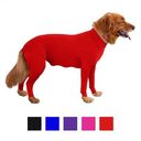 Zhongda Dog Manufacturer'S All Inclusive Four Legged Autumn