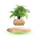 Magnetic Floating Bonsai Plant Rack