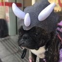Pet Triceratops Dog Dinosaur Hat Cat Transformation Cap