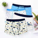 Boy's Underwear Boxer Cotton Children's
