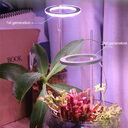 LED Grow Light Full Spectrum Angel Ring Phyto