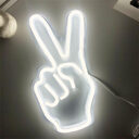 Transparent Backboard Neon Lights