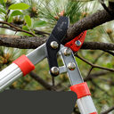 Small Scissors With Aluminum Handle Garden Pruning Tools