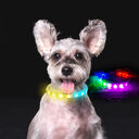 Flash Collar For Dogs USB Charging Anti-Lost Silicone