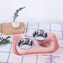Pet Stainless Steel Drinking Water And Feeding Cat