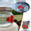 Hummingbird Feeder Plastic Flower Bird Water Bottle Hanging