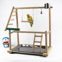 Bird Stand Desktop Training Cockatiel Playground Toy Swing