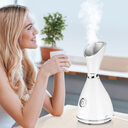 Face Steamer Beauty Water Replenishment Device