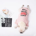 Dog Clothing Milk Two-legged Casual Pet