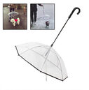 Dog's Transparent Umbrella With Traction Chain Removable Pet