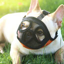 Hoopet Pet Small Dog French Bulldog Muzzle Mouse