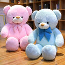 Sky Blue Teddy Bear Doll Large Hug