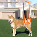 Adjustable Dog Lift Auxiliary Harness Hind Legs Pet