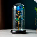 Preserved Flower Glass Cover Gold Foil Rose Mothers