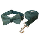 Green Velvet Dog Collar Leash Pet