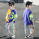 Children"s Clothing Boys" Spring Suit New Net Red
