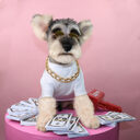 Pet Necklace Bead Chain Jewelry
