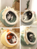 Four Seasons Universal Cat House Villa Home