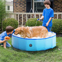 Foldable Dog Pool Pet Bath Swimming Tub Bathtub