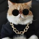 Cat Lion Headgear Hat Cute Funny Pet Photo