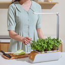 Hydroponic Container Flower Pot Garden Patio ABS It