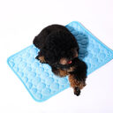Pet Ice Mat Summer Dog Cat Cooling Supplies