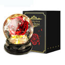 Mother Day Gift Dried Flowers Eternal Real Rose