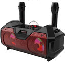 Microphone Dual Bluetooth Speaker