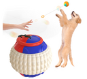 New Pet Draw Rope Hand Throwing Ball ABS