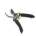 Garden Shears Fruit Tree Pruning