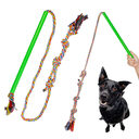 Pet Supplies Training Dog Pole