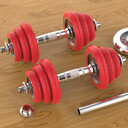 Pure Iron Solid Electroplating Dumbbells Black Lacquered Red