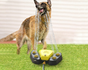 Selection Pets Cats And Dogs Smart Automatic Drinking