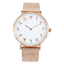 Fashion Steel Band Mesh Quartz Watch