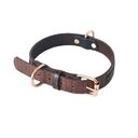 Pet Leash