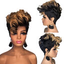 Ladies African Small Curly Hair Dyeing Short Wig