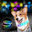 USB Rechargeable Pet Dog LED Glowing Collar Luminous