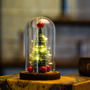 Creative Christmas Tree Glass Cover LED Lights Decorations