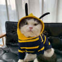 Winter Warm Clothes Cute Plush Coat Hoodies