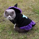 Christmas Wizard Pet Halloween Dog Clothes