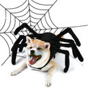 Pet Halloween Funny Spider Chest Back Creative Cat