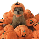 Cute Pet Hat Halloween Pumpkin Dog Cat Dress