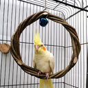 Bird Standing Frame Rattan Ring Chewing Toy Cage