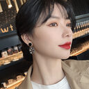 Temperament Earrings Net Red Women