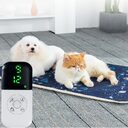 Electric Heating Blanket For Kittens And Pads Dogs